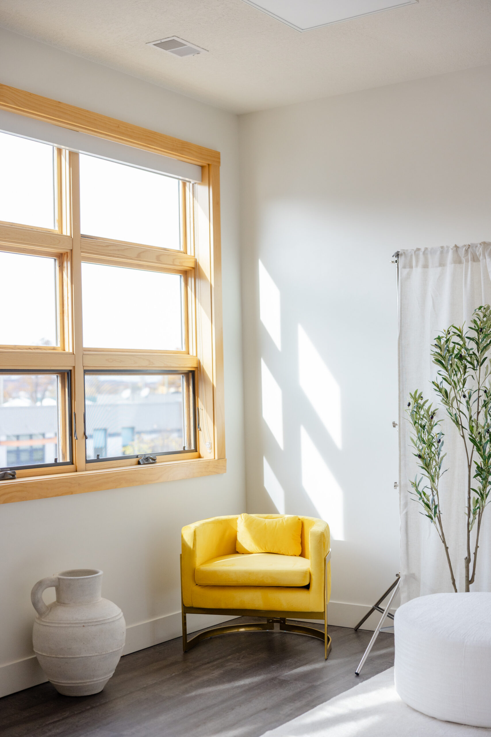 traverse city portrait studio